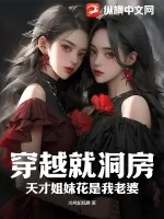 《穿越就洞房，天才姐妹花是我老婆》小说封面