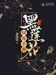 《黑莲花修炼手册》小说封面