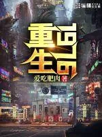 《重生1976》小说封面