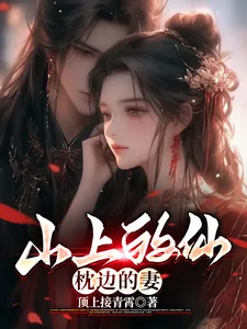 《山上的仙，枕边的妻》小说封面