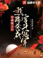 《穿成孤女后，我一路杀成宫斗冠军》小说封面
