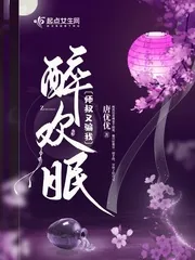 《醉欢眠》小说封面