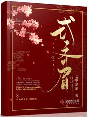 《式齐眉》小说封面